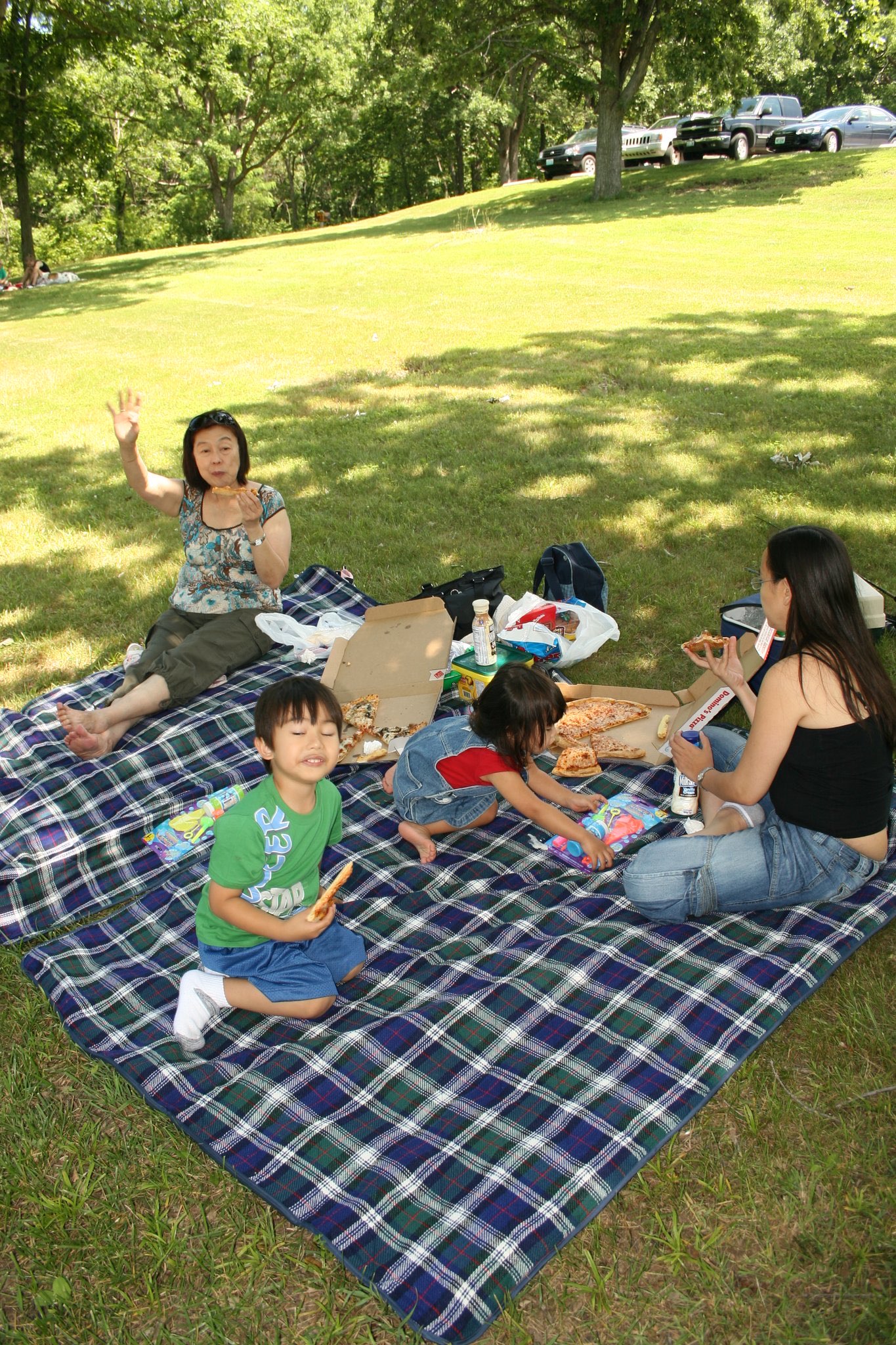 Family enjoying pizza together on a picnic blanket in the park